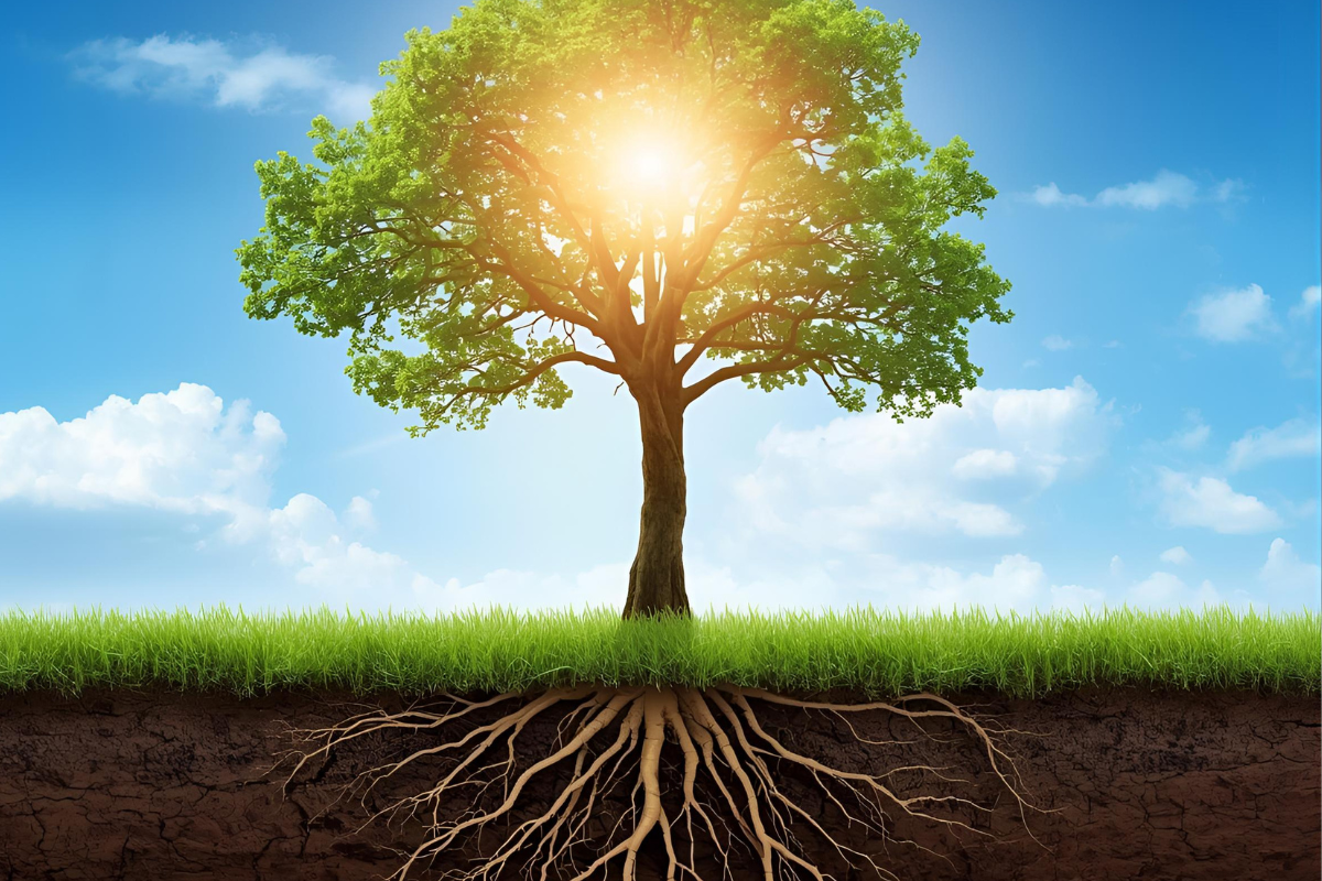 The Power of Gratitude: How Thankfulness Boosts Mental Health